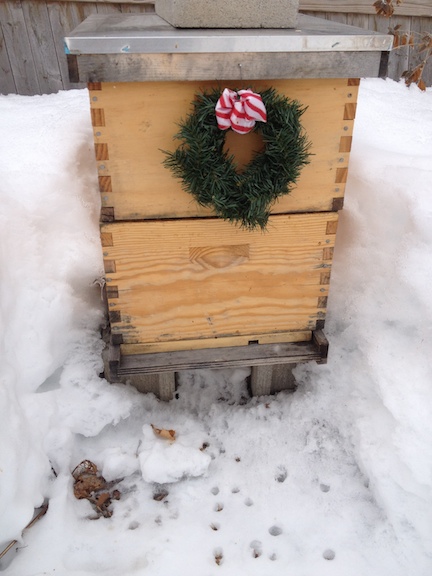 Langstroth hive 3-1-2015