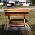 Top bar hive in host yard.